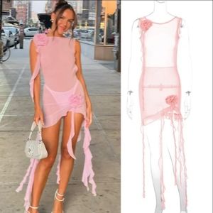 Mesh Blush Pink Sheer Dress